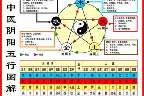 五行屬性怎麼看|一文教你看清自己的命格五行！【八字2021】